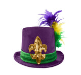 Womens Velvet Mardi Gras Top Hat Gold Fleur De Lis And Feather Costume Accessory