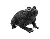 Nicky Bigs Novelties Giant Rubber Toad Prop Decoration, 10 Inches Long