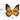 Womens Adult Orange Black Glitter Monarch Butterfly Wings Costume Accessory Prop