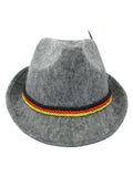 German Alpine Oktoberfest Hat with Feather, (Pack of 6) Gray, One Size