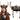 Nicky Bigs Novelties Viking Helmet with Horns and Hair Braids for Adult Plastic Norse Barbarian Warrior Hat Brown Gold Medieval Vikings Costume Accessory Halloween Hats 6 Configurations