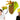 Adult Jumbo Taco Hat Mini Taco Headband Couples Friends Costume Accessory Set